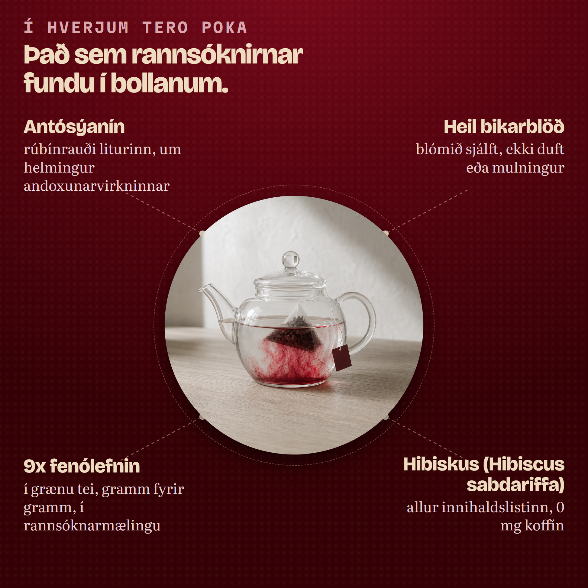 Það sem rannsóknirnar fundu í bollanum: antósýanín, heil bikarblöð, meiri fenólefni en grænt te, aðeins hibiskus