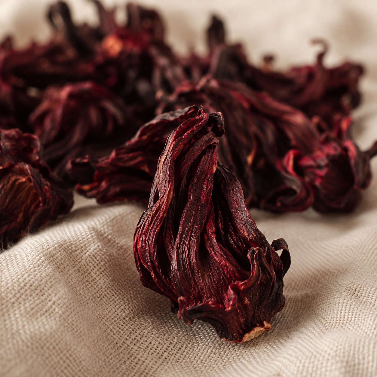 Whole dried hibiscus calyces, close up